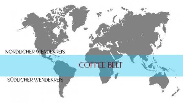 Weltkarte mit Grafik in Farbe Kaffeegürtel