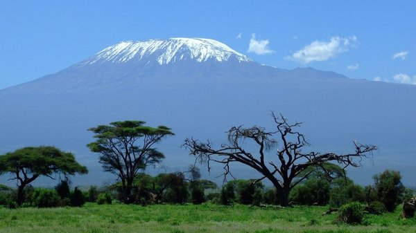 Landschaft mit Bäumen und Vulkan Kenia